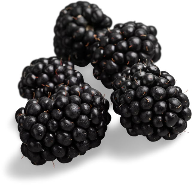 Blackberries