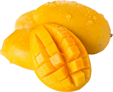 Cutout of Fresh Mangoes with Waterdrops